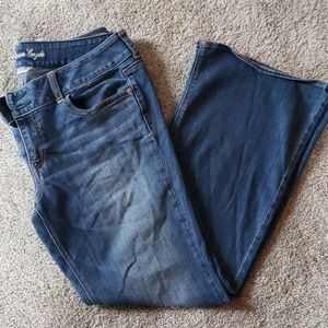 American Eagle Artist Jean size 14 short
